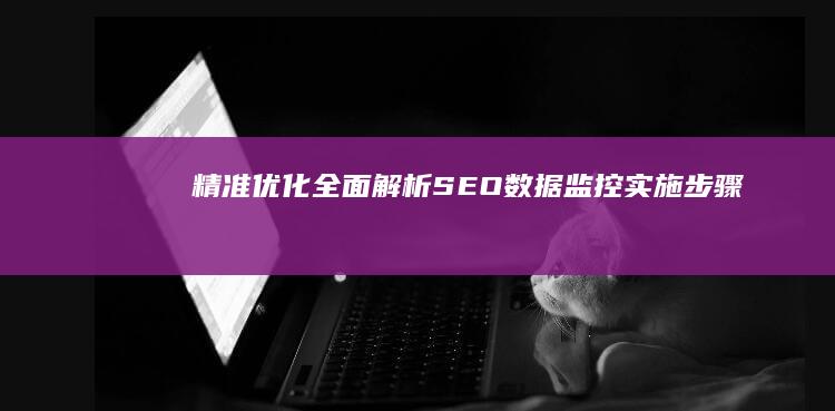 精准优化：全面解析SEO数据监控实施步骤